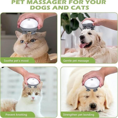 Multipurpose Electric Massager